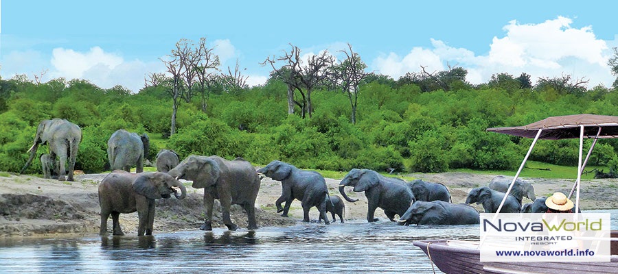 Vườn thú Safari NovaWorld Hồ Tràm