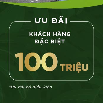 Ảnh Từ Bài Viết Của Novaworld Ho Tram