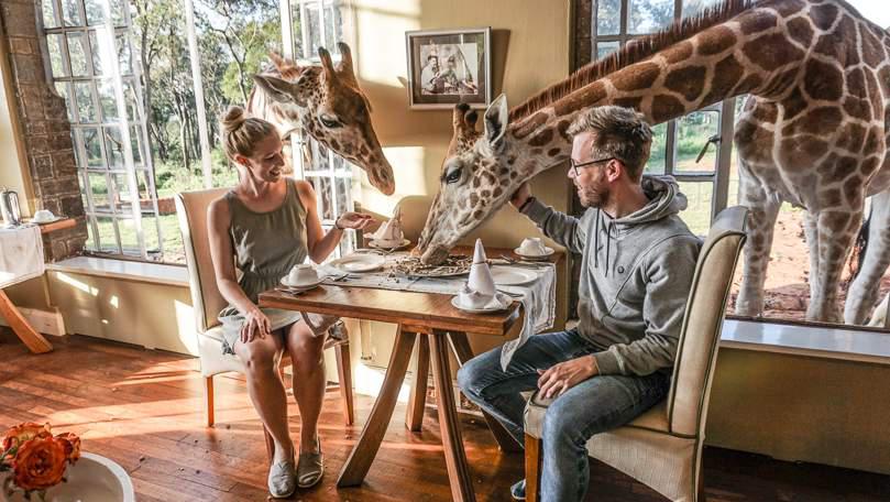 Triển lãm công ty cổ phần đầu tư nhà nova chào đón hơn 10.000 khách