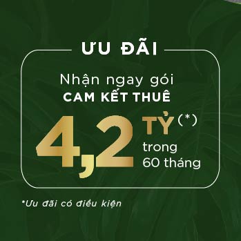 Ảnh Từ Bài Viết Của Novaworld Ho Tram