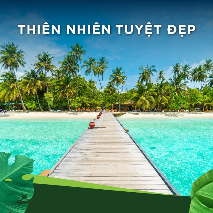 Ảnh Từ Bài Viết Của Novaworld Ho Tram